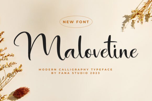 Malovetine: How a Stylish Script Font Can Elevate Your Campaign Visuals